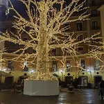 Kalis Apartamento