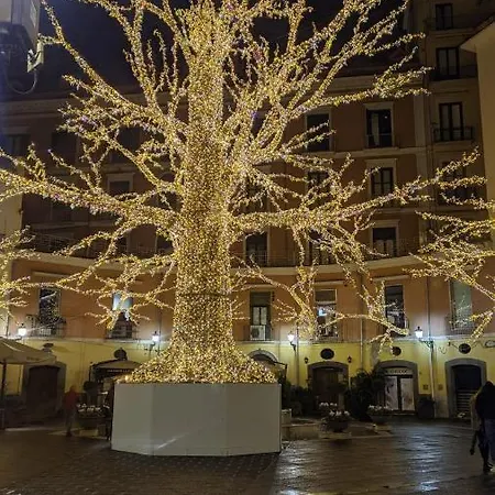 B＆波波住宿加早餐旅馆 住宿加早餐酒店
